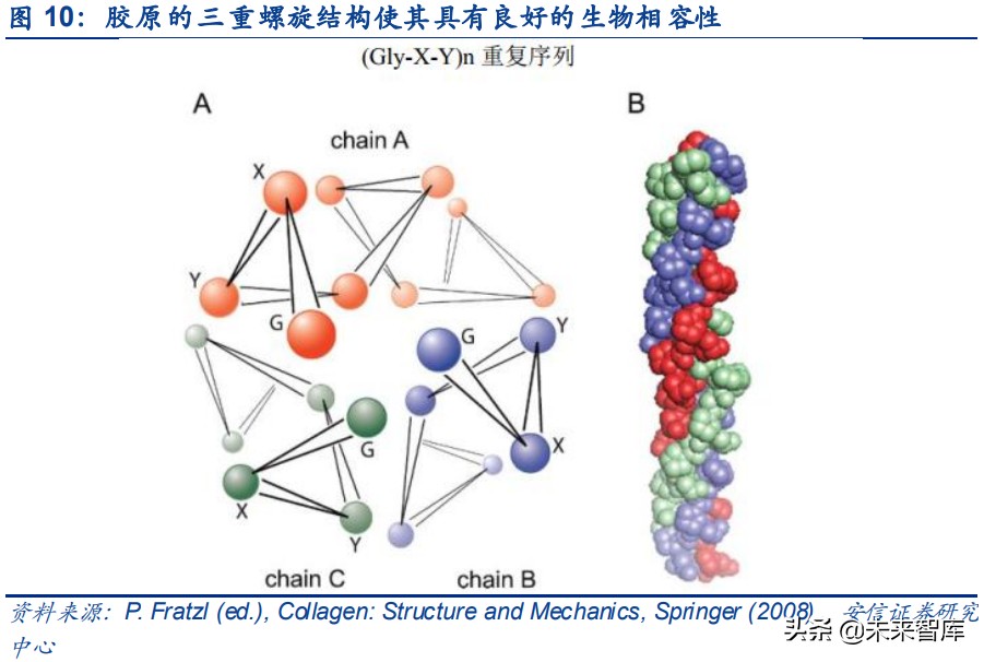 胶原蛋白是未来医美行业主赛道,胶原蛋白肽饮品行业报告