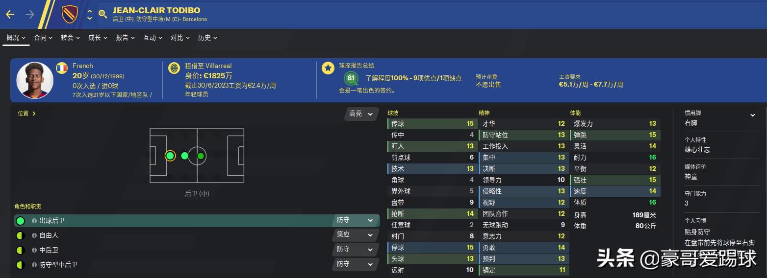 fm足球经理潜力评分,fm2020足球经理