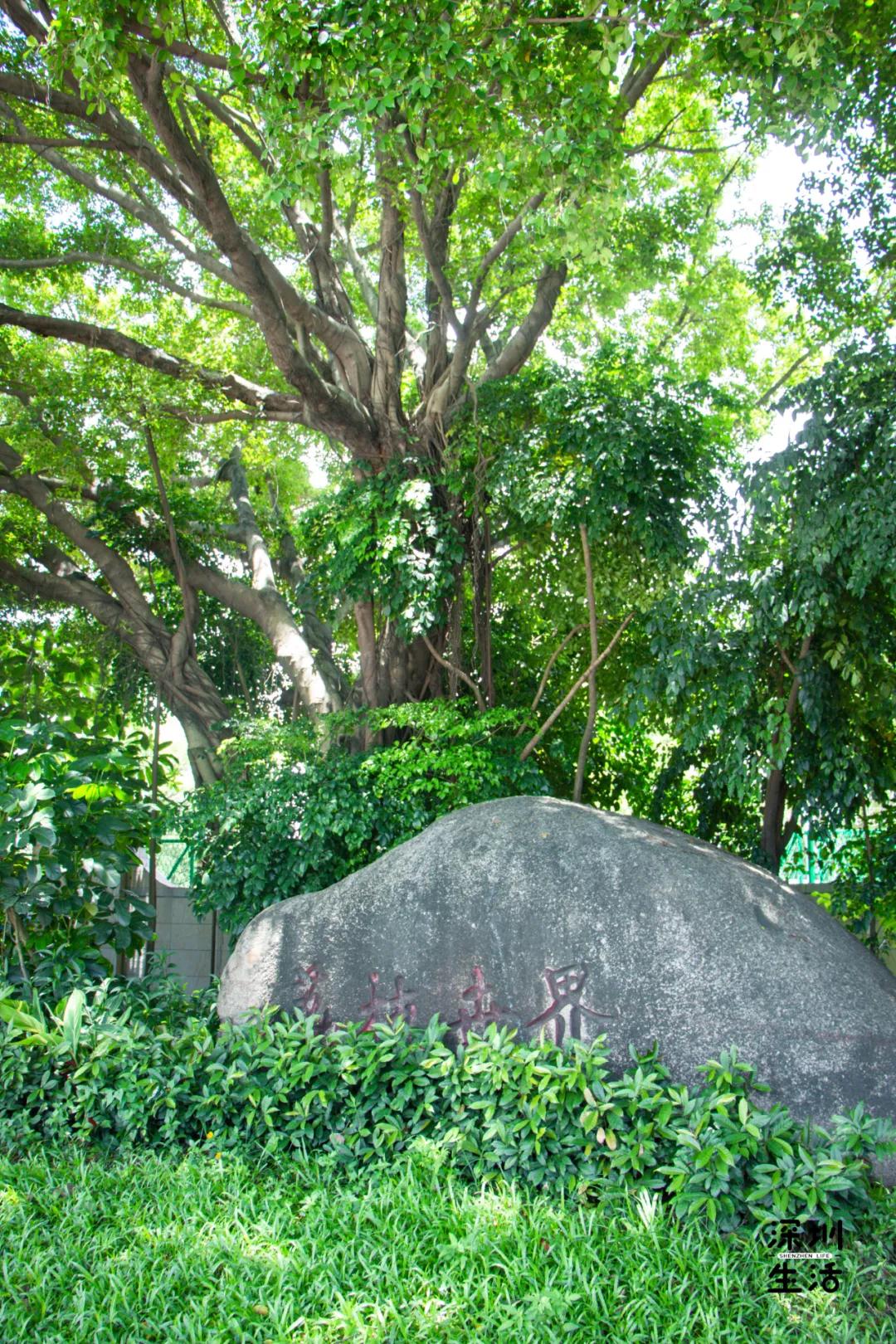 西丽富人区是真的吗,西丽富人区住宅