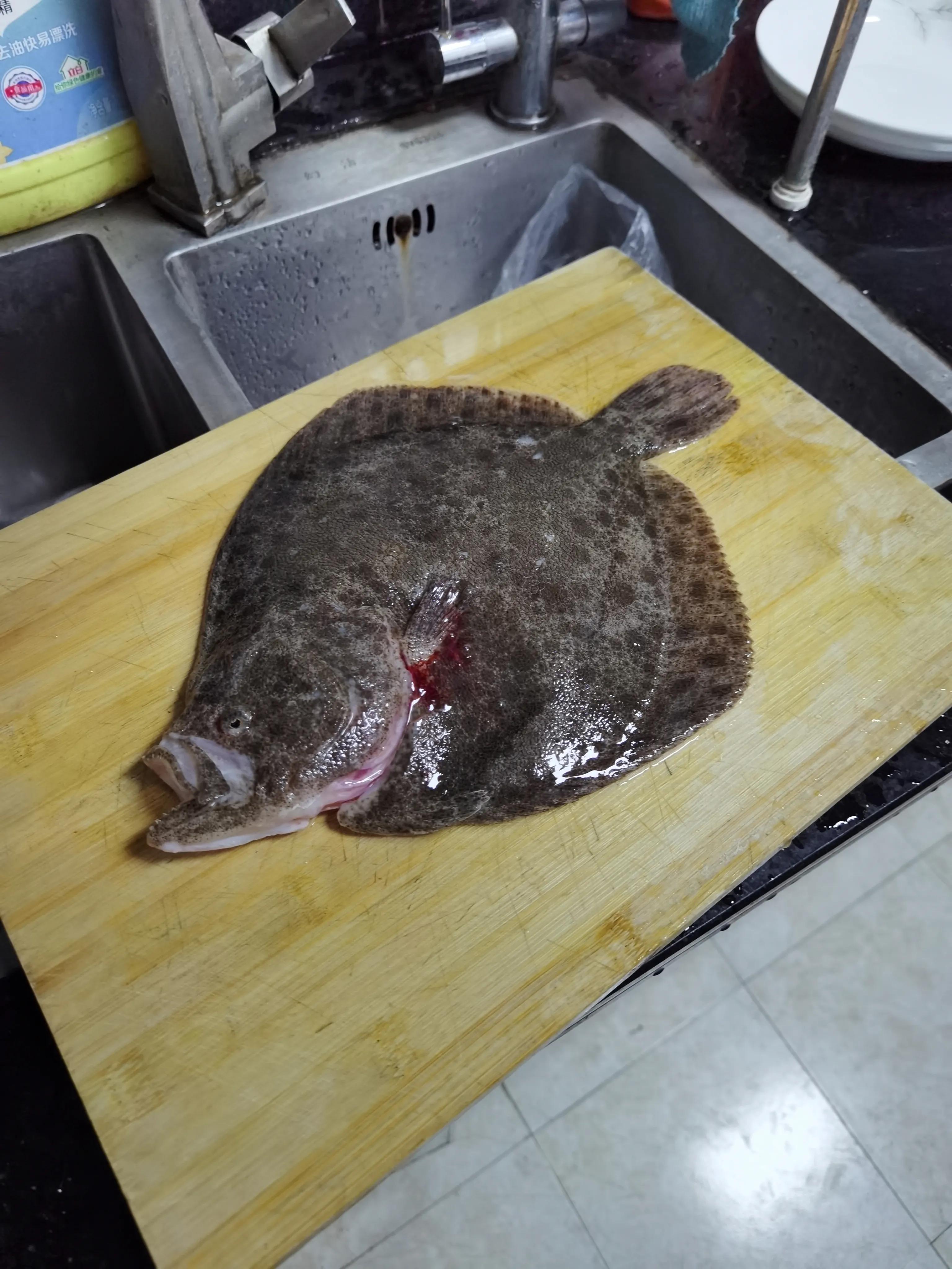 老饭骨清蒸多宝鱼的正宗做法,多宝鱼和鲈鱼清蒸哪个更好吃