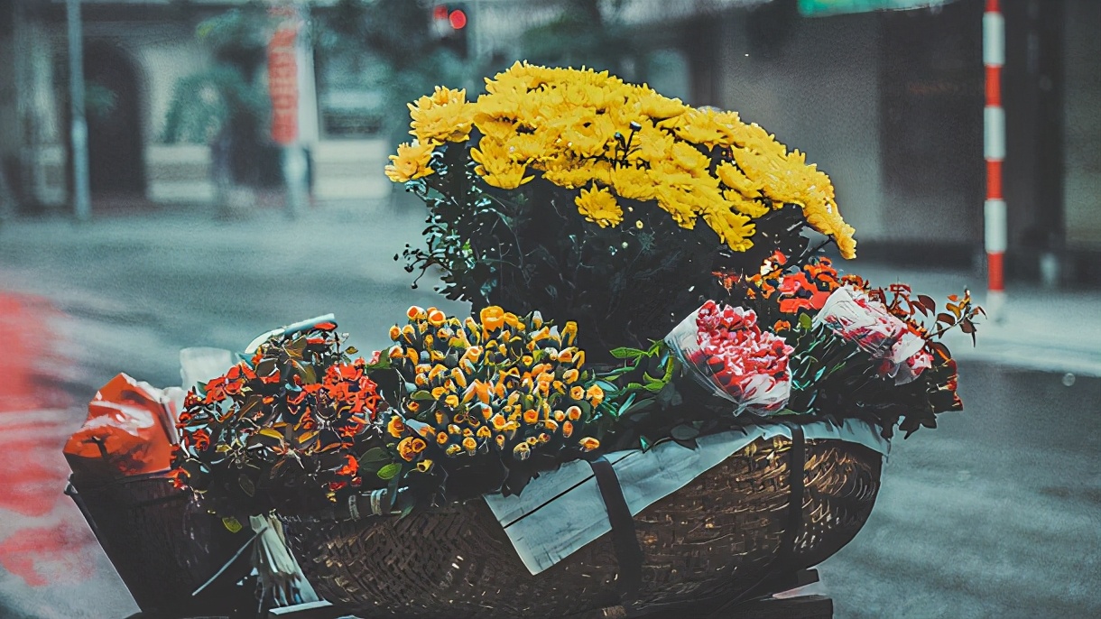 女孩名字洋气有涵养牛年宝宝,浩然正气的牛宝宝名字