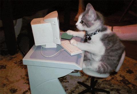 蝴蝶人体工学椅评测推荐,人体工学椅测评舒适款