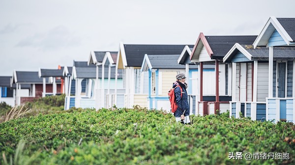 可以去玩一整天的地方,能玩一两天的地方