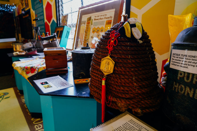 新西兰｜在首屈一指的滑雪胜地，与黑天鹅一起戏水