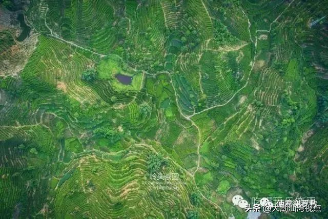 广东省的饶平县,饶平我的家乡很美