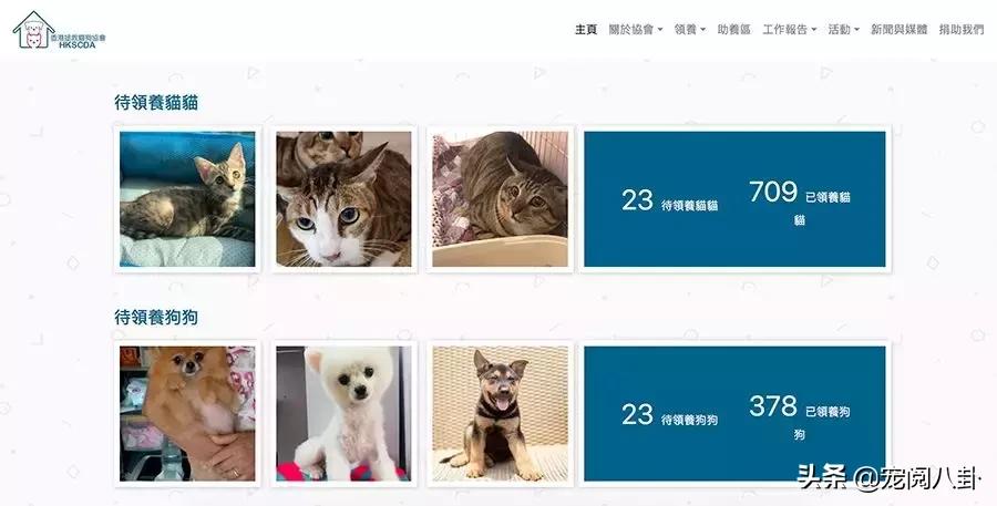 致每一位爱宠人，请了解下困难重重的TNR