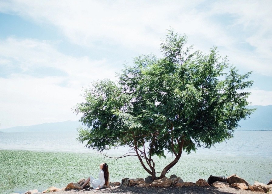 光瓶经销商现状,光瓶怎么占领市场