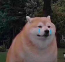 卖保险发家致富,卖保险熬过几年就没事了