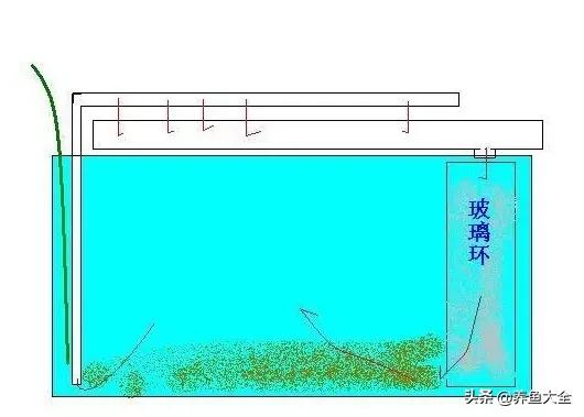 鱼缸各种过滤方式效果排名,细谈各种鱼缸过滤方法