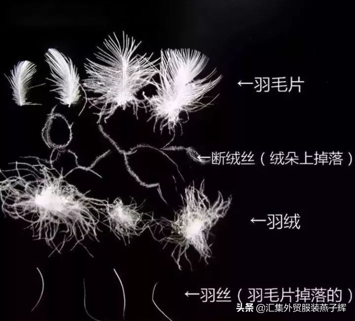 world of moncler羽绒服 (moncler羽绒服为什么这么贵)