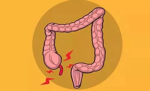 你知道吗冷知识,冷知识你知道吗解说