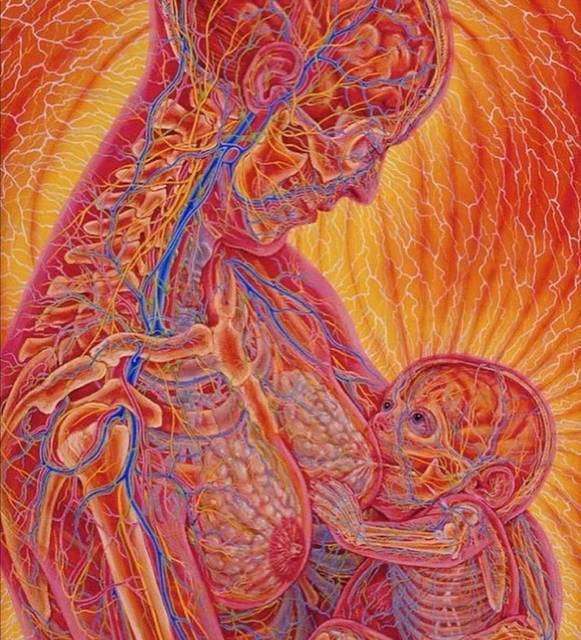 频繁堵奶是断奶还是继续吃好,断奶乳房侧面总是堵奶怎么办