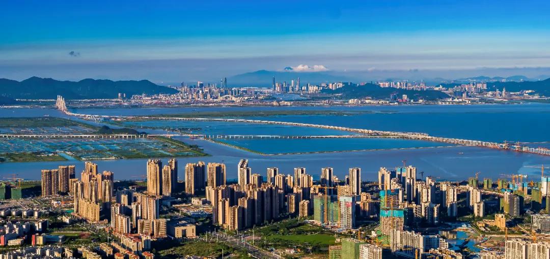 金湾区全面部署这件头等大事！