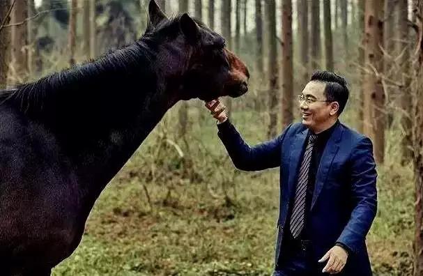 鍐嶈幏闃块噷绛夎秴3浜跨編鍏冩姇璧勫ぇ鎼滆溅,鑾峰緱闃块噷宸村反鎶曡祫