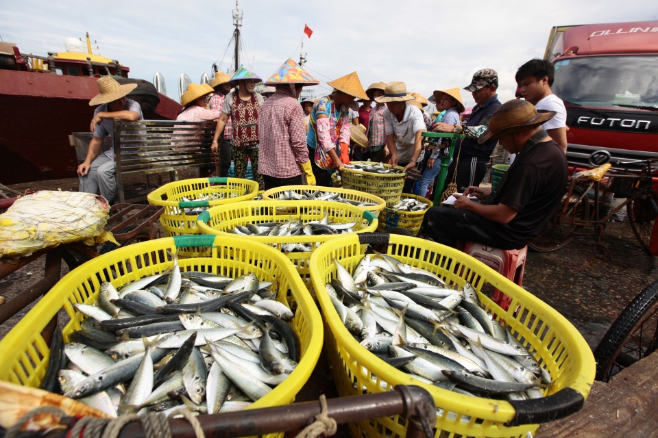 海南海边码头海鲜,海南海鲜开海
