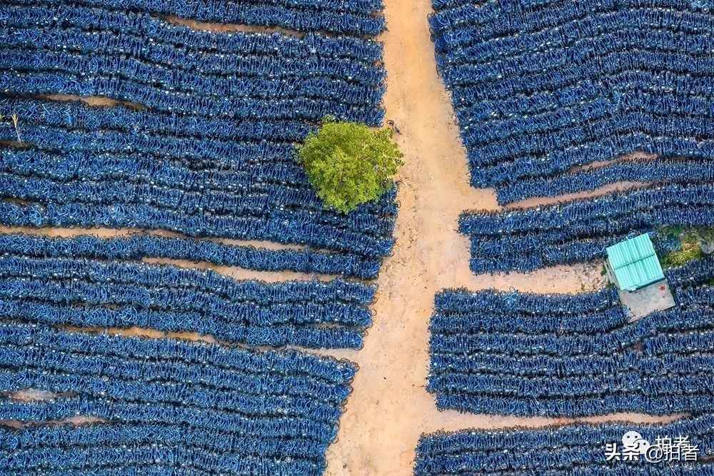 吴国勇共享单车,对话吴勇