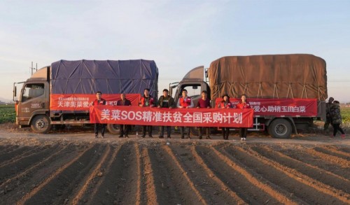 白菜为啥会滞销,2023白菜为什么这么便宜