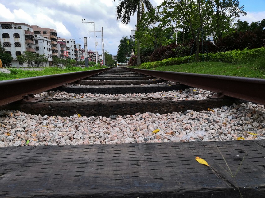 真正不求回报的心态,做好自己该做的不要求回报