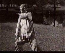 董虎岭杨氏太极拳85式视频全套,董虎岭与董继英85式杨式太极拳