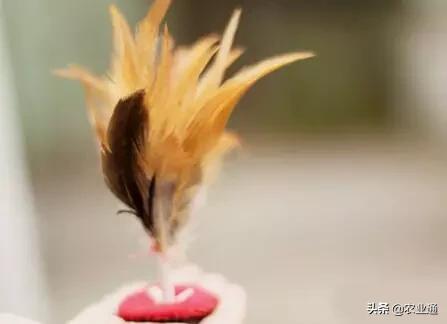 80后小时候玩的纸玩具,小时候玩过的玩具80后满满的回忆