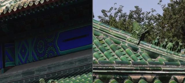 佳能rf100-500mm镜头拍鸟,佳能长焦相机100倍