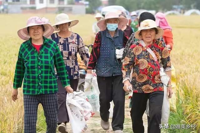 农民放弃耕种,农民放弃种地什么原因