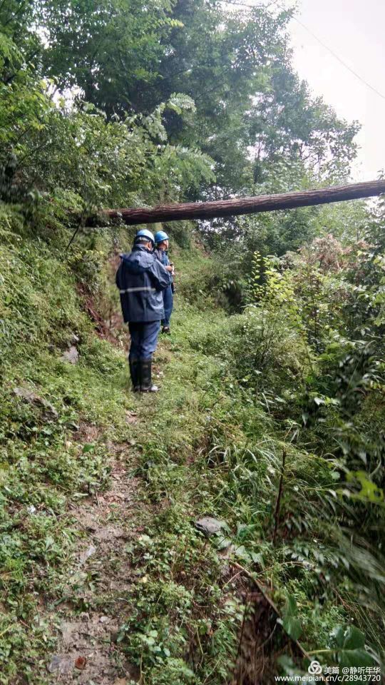 武都供电公司抢修,武都黄坪电力抢修