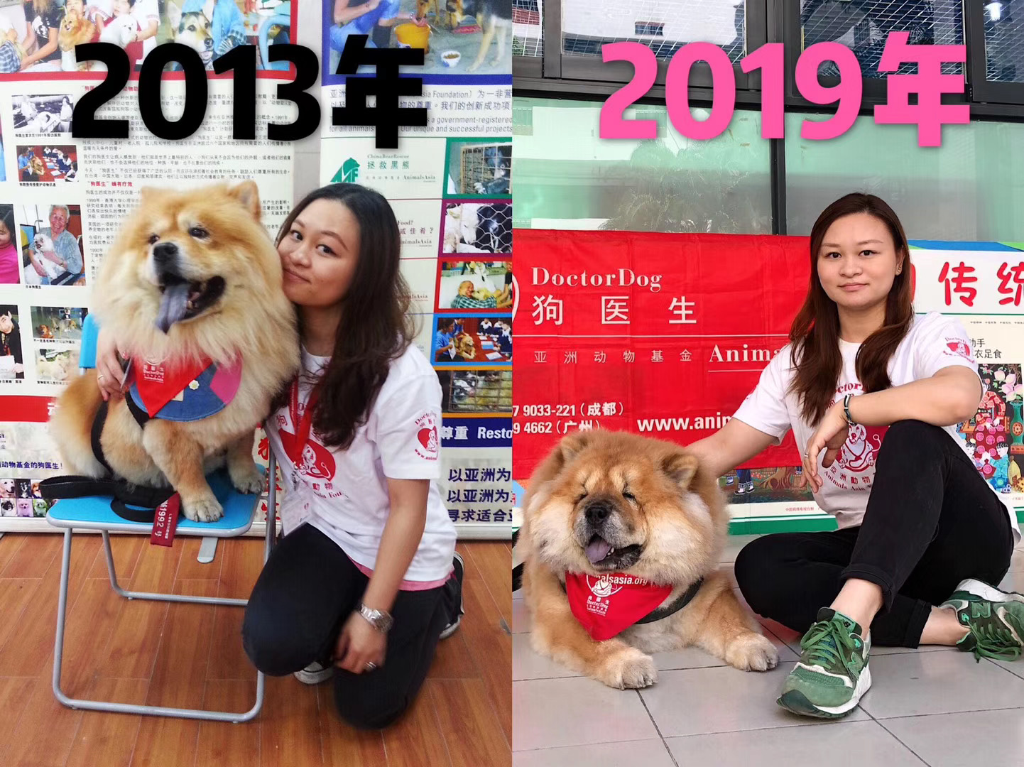 仰卧撑宠物达人专访：两代松狮“狗医生”的坚强铲屎官Erika