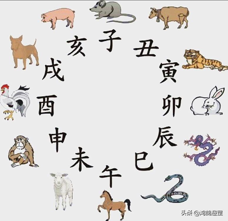 12生肖按照什么规则排序，老鼠为何排在第一？