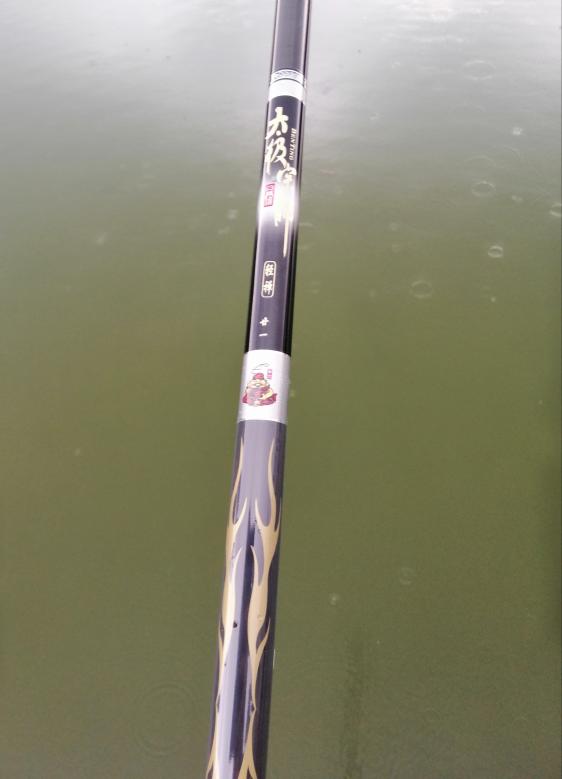 新手选鱼竿怎么选,新手怎么选鱼竿最合适