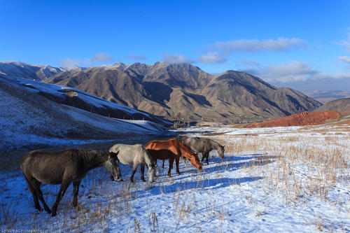 咬文嚼字斟酌字句,咬文嚼字示例