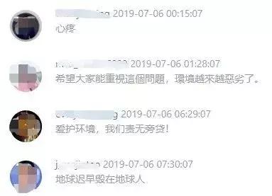 1116只鲨鱼被塑料缠住，不及余文乐发布一则视频引发的“痛感”