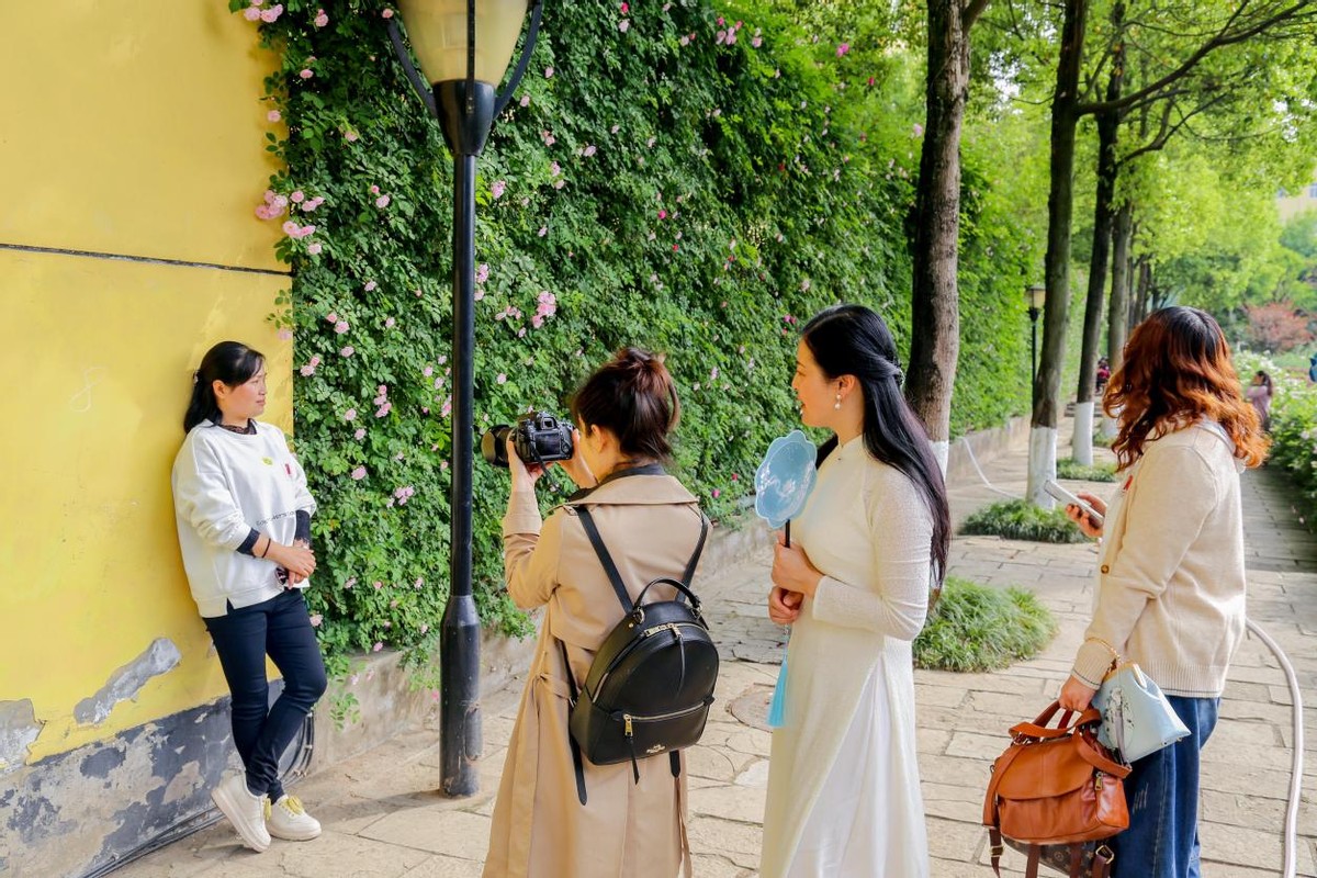 学*党**史、话科学、赏蔷薇，成都理工大学工程技术学院与你有“约”