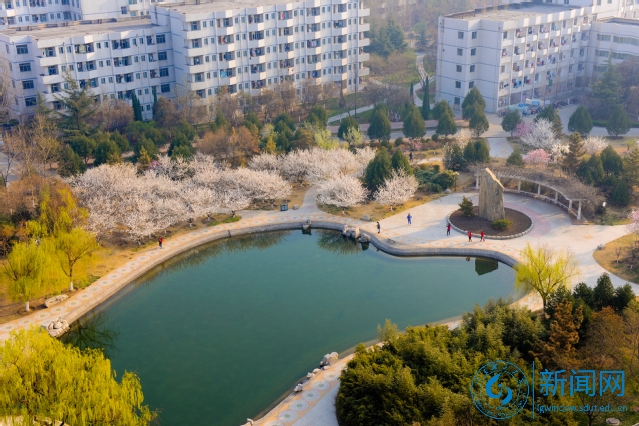 山东各大高校现状,师范类院校的现状概括