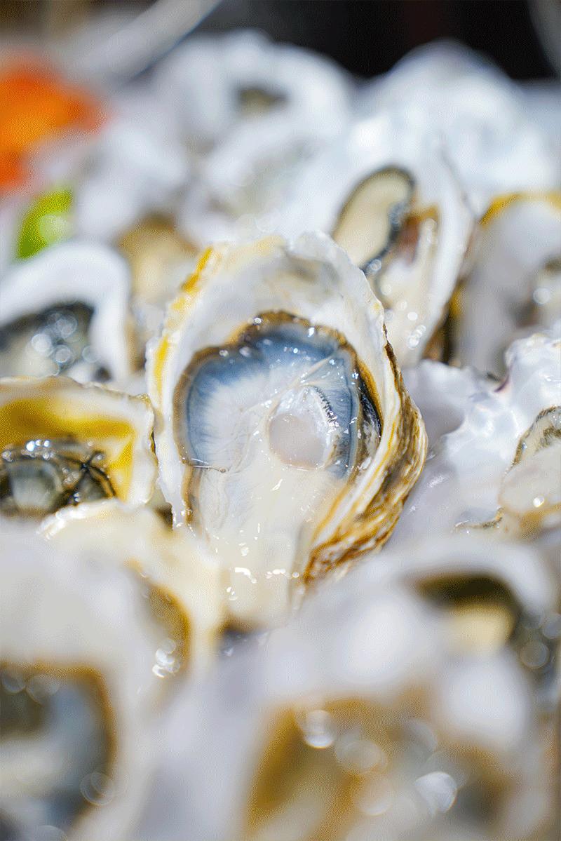 鍛ㄦ湯涓嶅姞浠风敓铓濈晠鍚冪幇鐐掑皬娴烽矞,娴烽矞缇庨鎺ㄨ崘涓変簹鐢熻殱