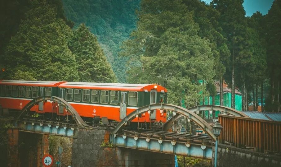 太美了开往春天的列车,这些开往春天的列车简直美呆了