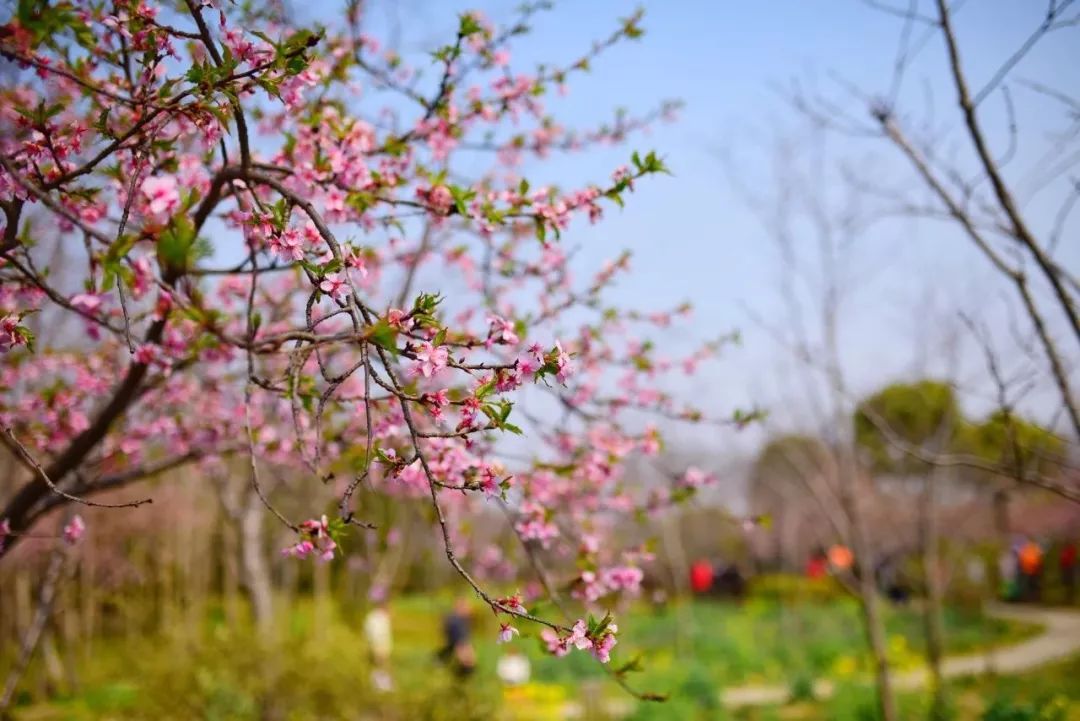 吵翻了！上海16个区终于正面PK！哪个是你心中的扛把子？