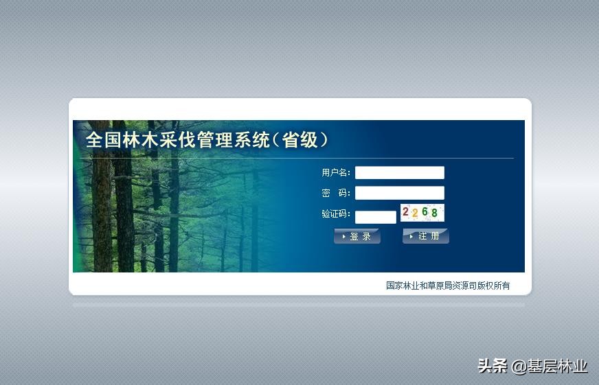 农村林木采伐改革,关于农村林权的新政策