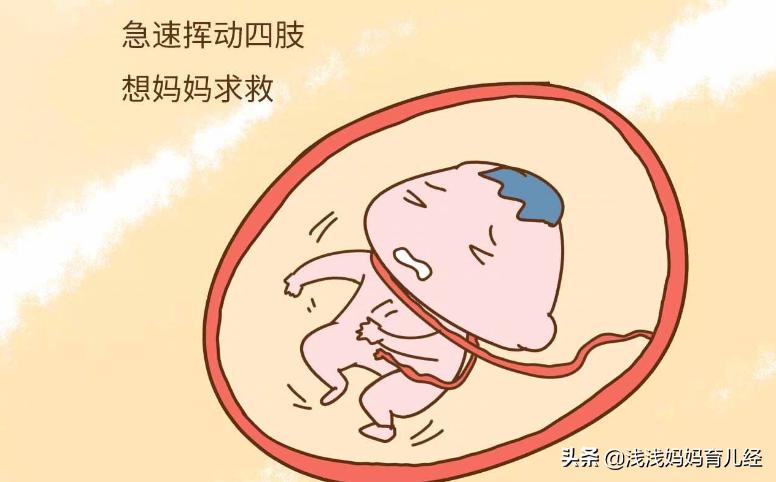 胎动异常母体的感觉,正常胎动和异常胎动的区别