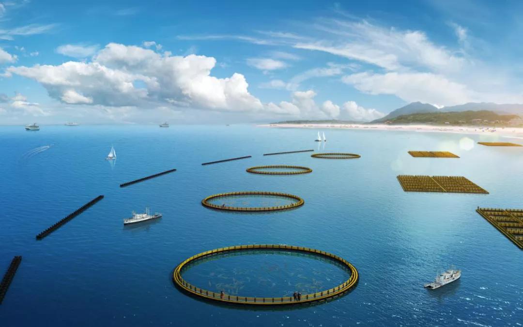 央视直播中国联塑,联塑央视网