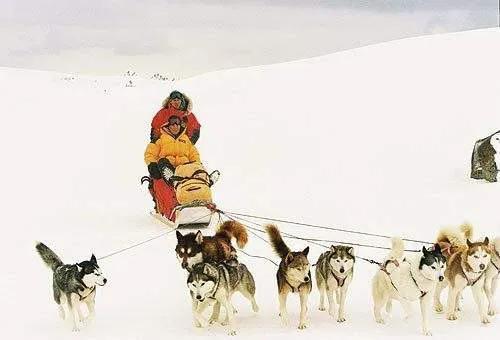 蒙太奇的手法分析,蒙太奇知识点讲解