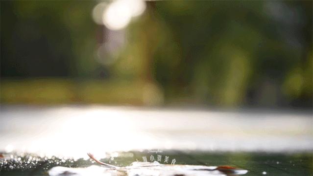 2019魔都“奶茶年”！呕心沥血整理了50杯年度奶茶