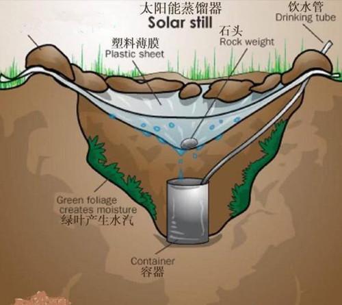 沙漠中迷路将水喝光了，该怎么办？有三种方法或许可以救命