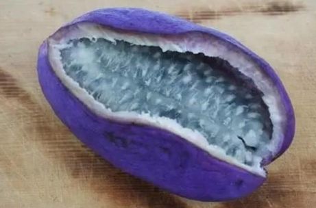 世界这么大你知道有几种水果吗,世界上都有哪些可以吃的水果