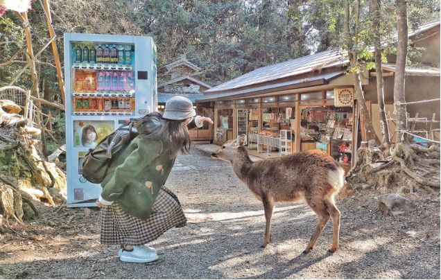 王思聪和李易峰关系有多好,王思聪和李易峰的区别
