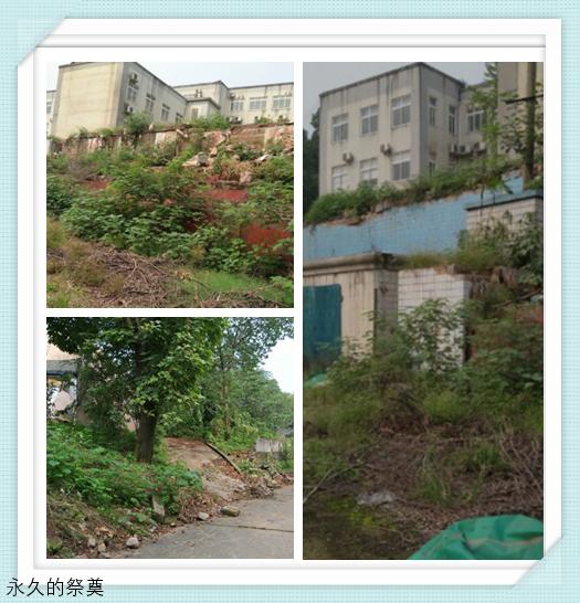 重庆煤校,重庆煤技校原上桥老照片