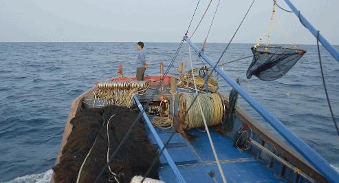 被央视表扬的b站up主,b站up主真实故事