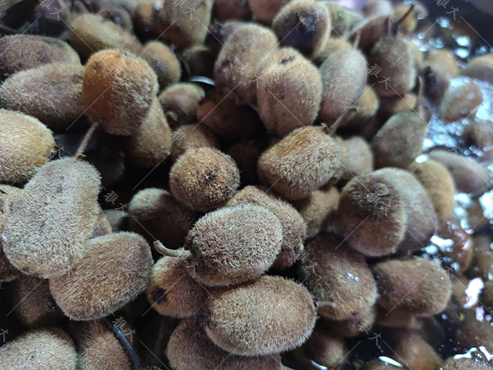 野生猕猴桃的酒叫什么酒,野生猕猴桃怎么做酒