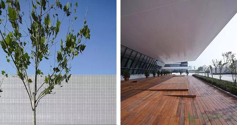 中新生态城小外,天津中新生态城滨海小外高中部