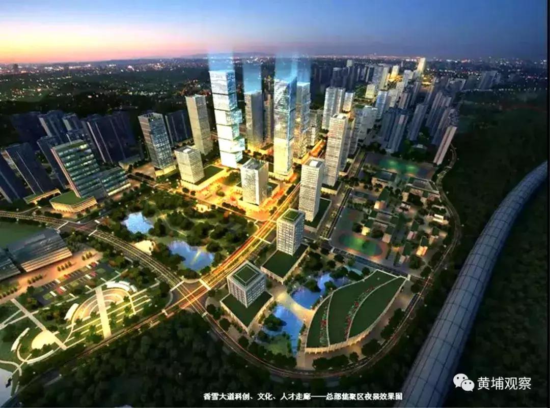 广州市萝岗农贸批发综合市场,广州黄埔区萝岗农贸市场